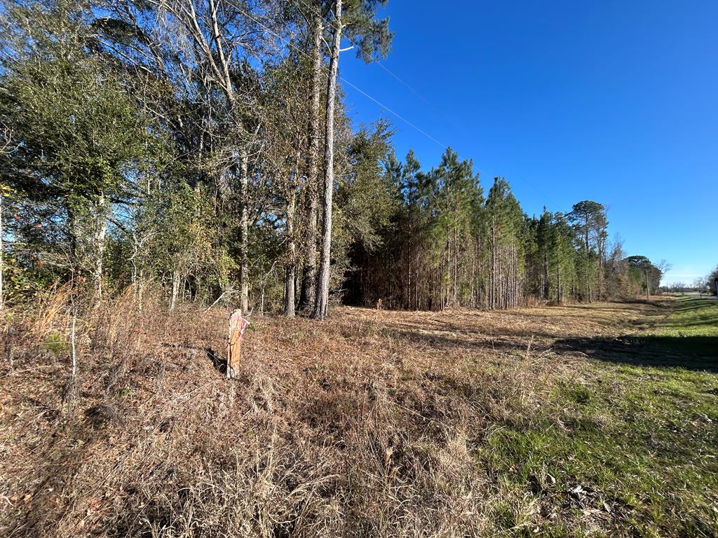 7.547+-ac Lot 9, Willie Varnum Rd, Cottonwood, Alabama image 7