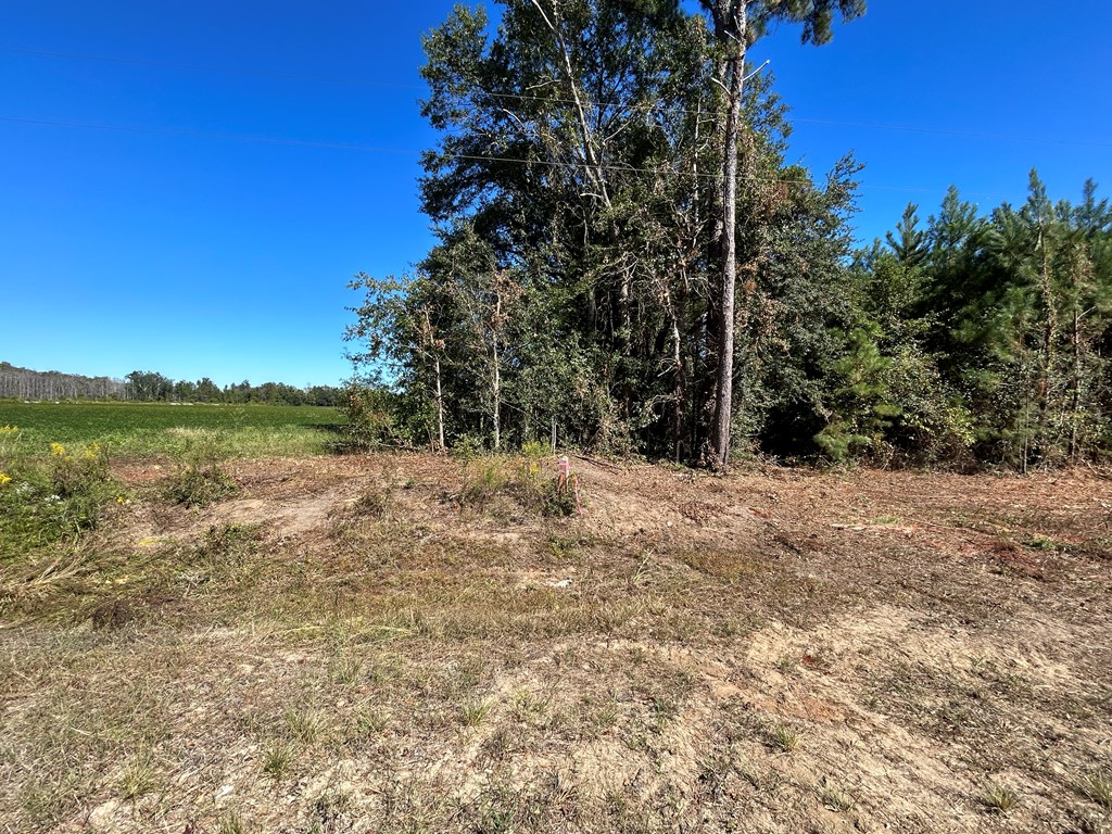 7.547+-ac Lot 9, Willie Varnum Rd, Cottonwood, Alabama image 6