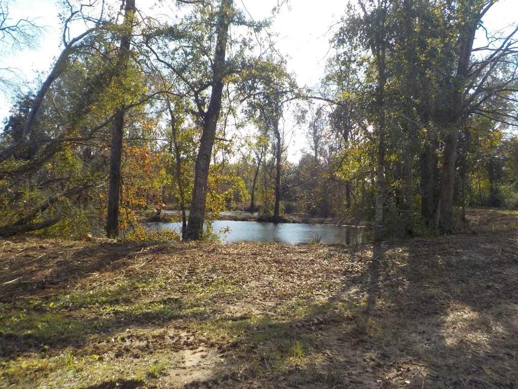 2338 D Hodge Rd (25.63+-ac), Cottonwood, Alabama image 11