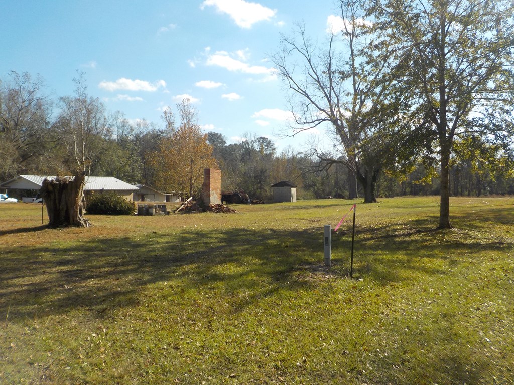 2338 D Hodge Rd (25.63+-ac), Cottonwood, Alabama image 19