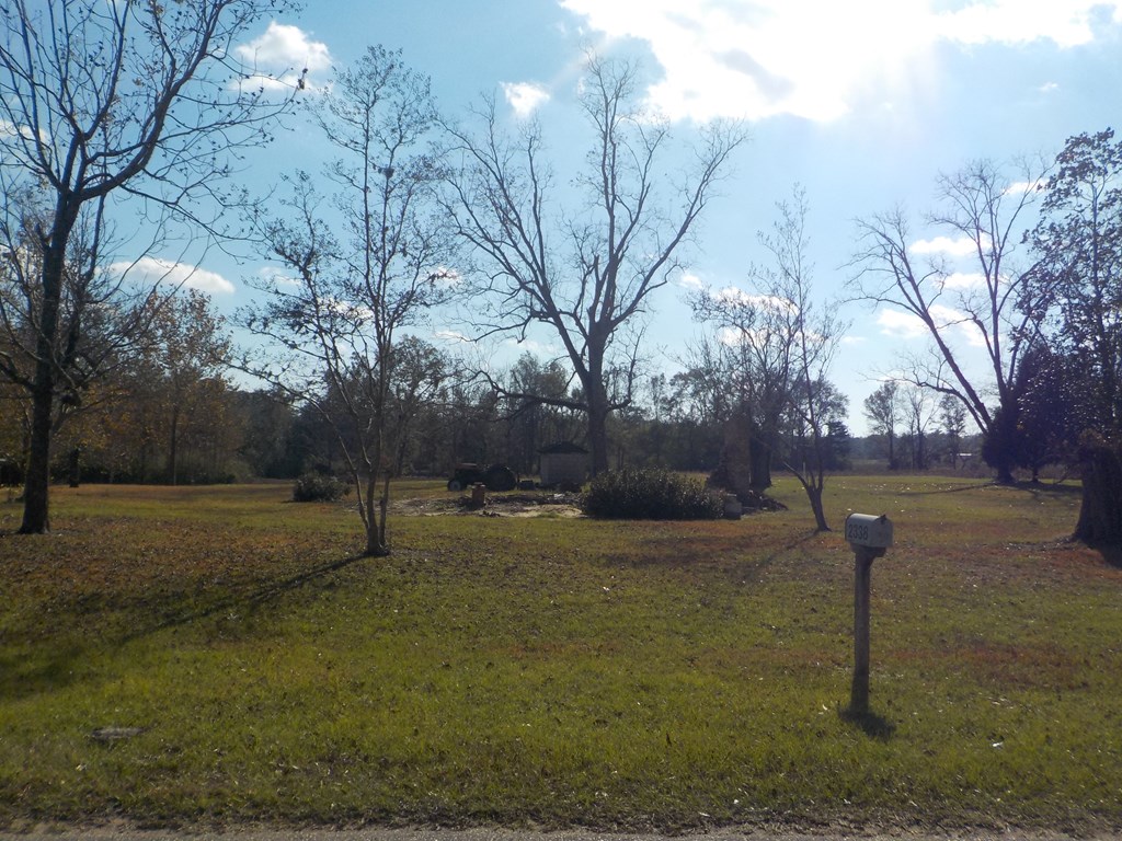 2338 D Hodge Rd (25.63+-ac), Cottonwood, Alabama image 22