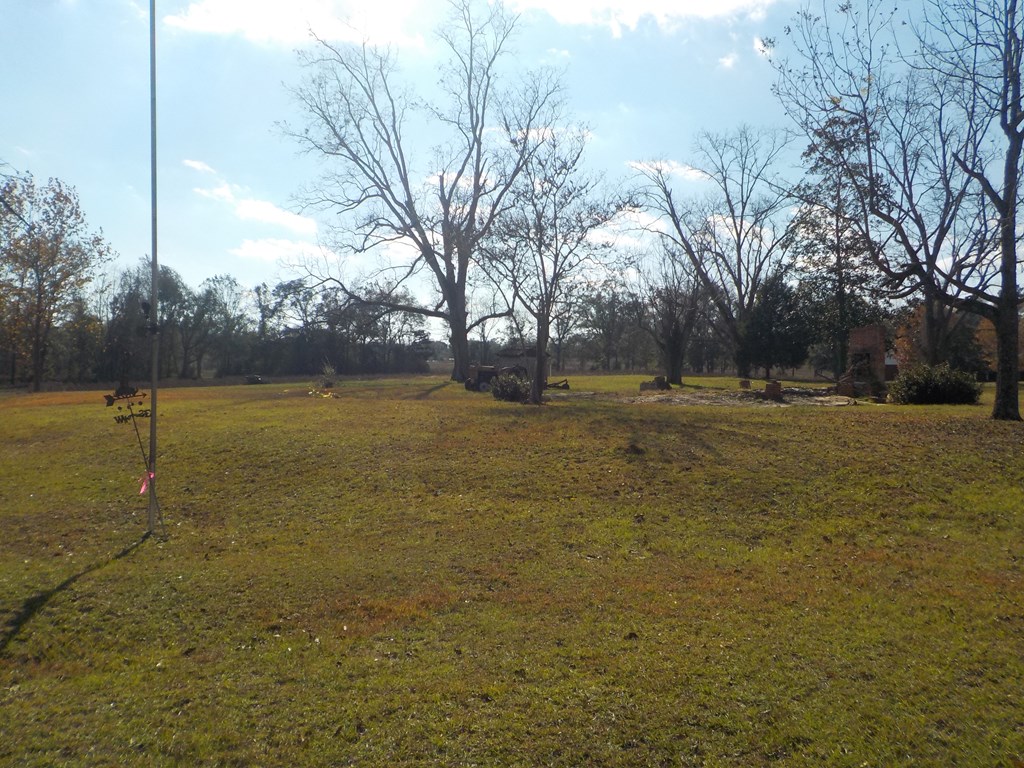 2338 D Hodge Rd (25.63+-ac), Cottonwood, Alabama image 23