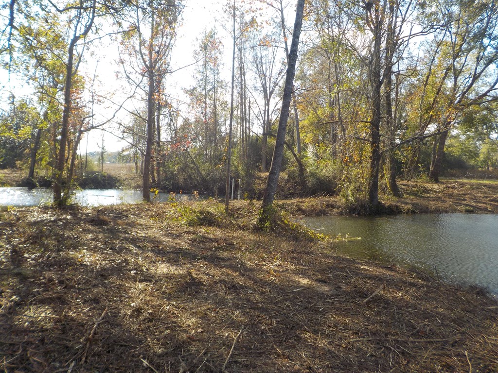 2338 D Hodge Rd (25.63+-ac), Cottonwood, Alabama image 6