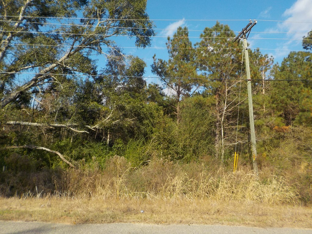 2338 D Hodge Rd (25.63+-ac), Cottonwood, Alabama image 14
