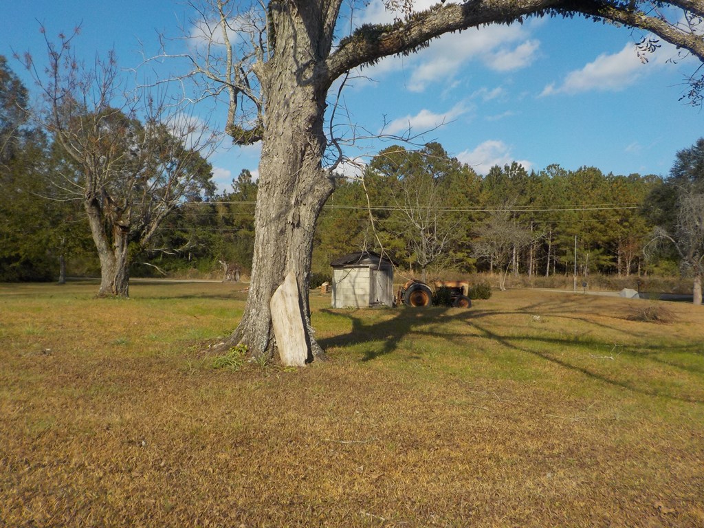 2338 D Hodge Rd (25.63+-ac), Cottonwood, Alabama image 15
