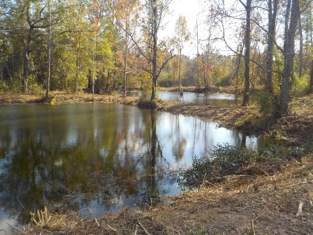 2338 D Hodge Rd (25.63+-ac), Cottonwood, Alabama image 1
