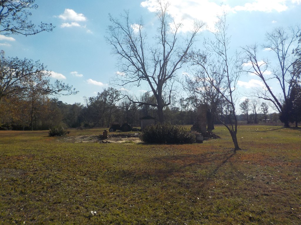 2338 D Hodge Rd (25.63+-ac), Cottonwood, Alabama image 21