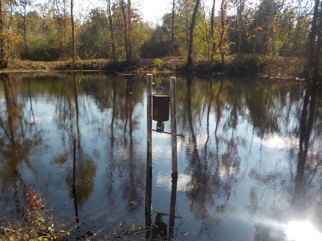 2338 D Hodge Rd (25.63+-ac), Cottonwood, Alabama image 4
