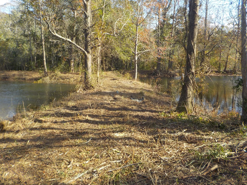 2338 D Hodge Rd (25.63+-ac), Cottonwood, Alabama image 9
