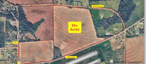 Vacant Land For Sale - 83+ ACRES  0 Judge Logue Rd<br/> Newton, AL 36352