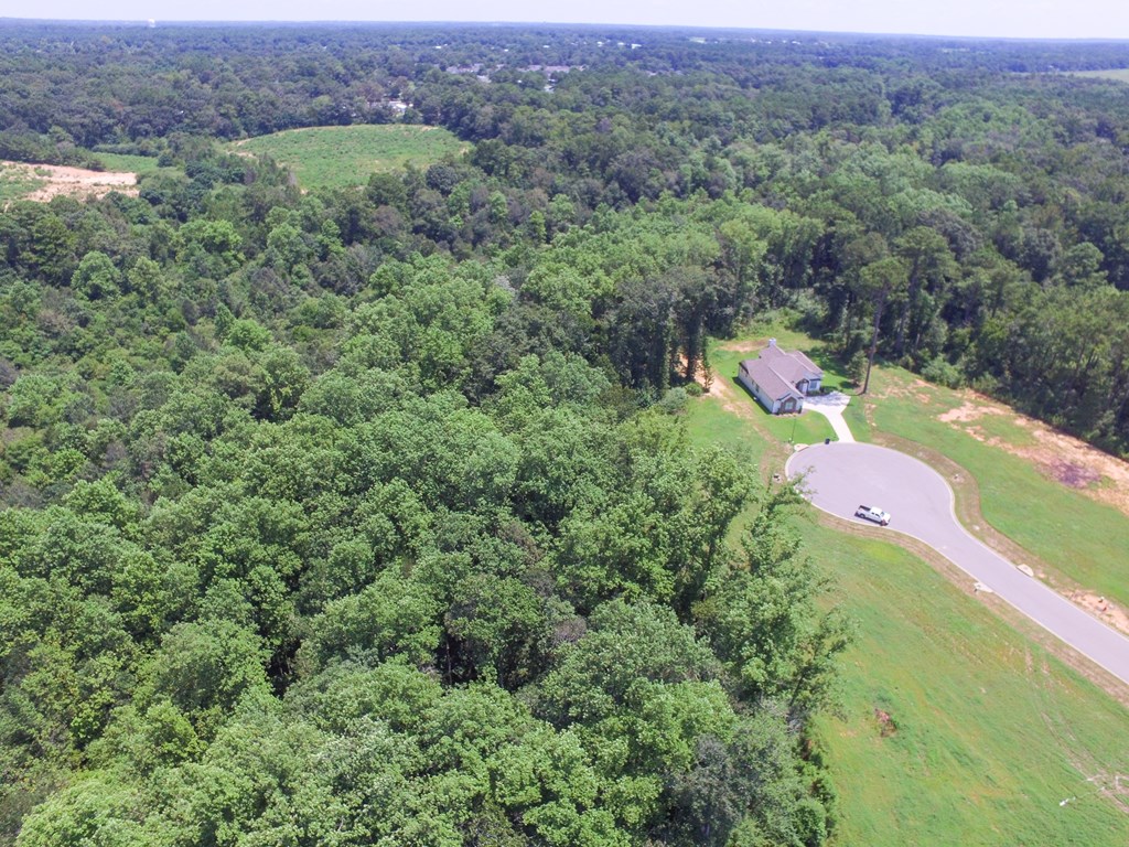 Dothan, Alabama 36305, United States, ,Land,Active,213233