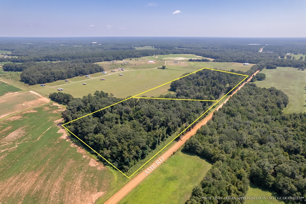 Ame Lot 2, Slocomb, Alabama image 16