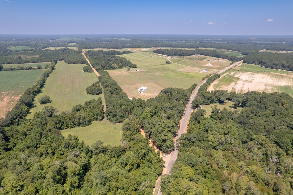 Ame Lot 2, Slocomb, Alabama image 9