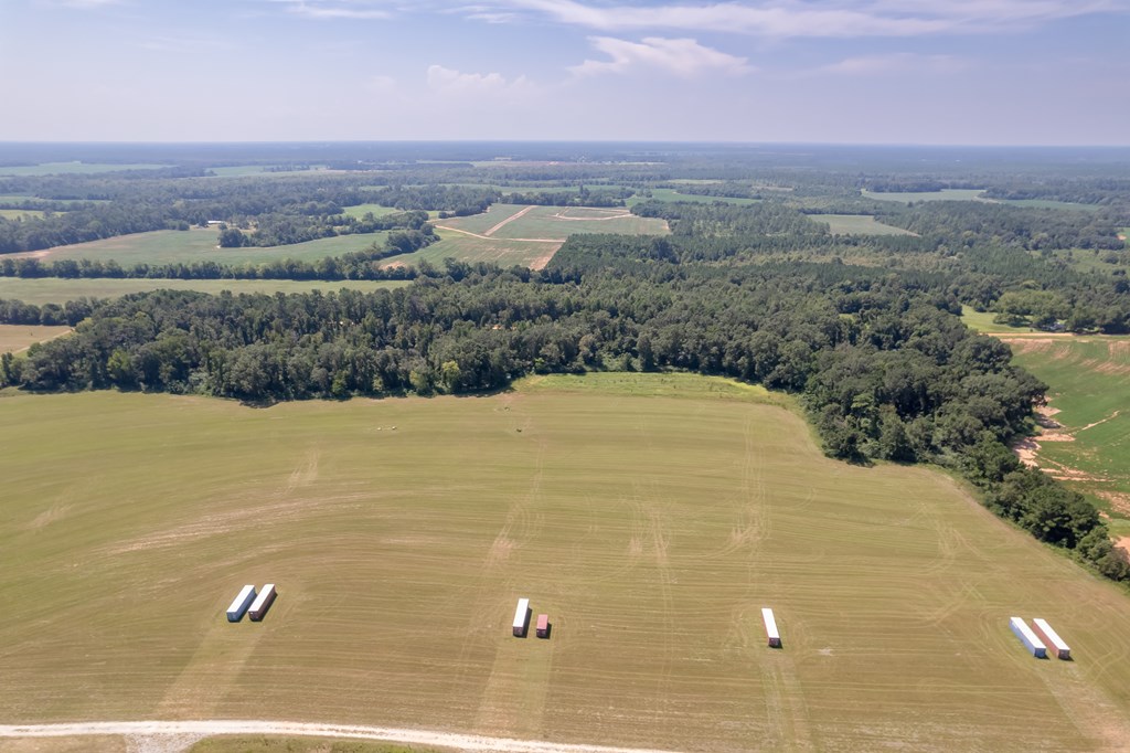 Ame Lot 2, Slocomb, Alabama image 15