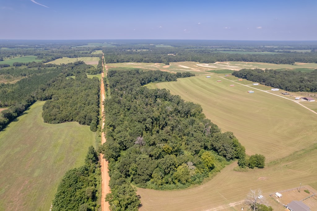 Ame Lot 2, Slocomb, Alabama image 13