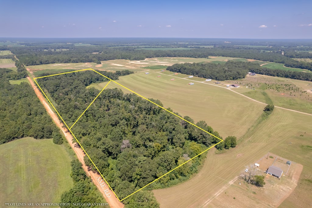 Ame Lot 2, Slocomb, Alabama image 12