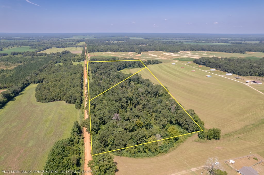 Ame Lot 2, Slocomb, Alabama image 14