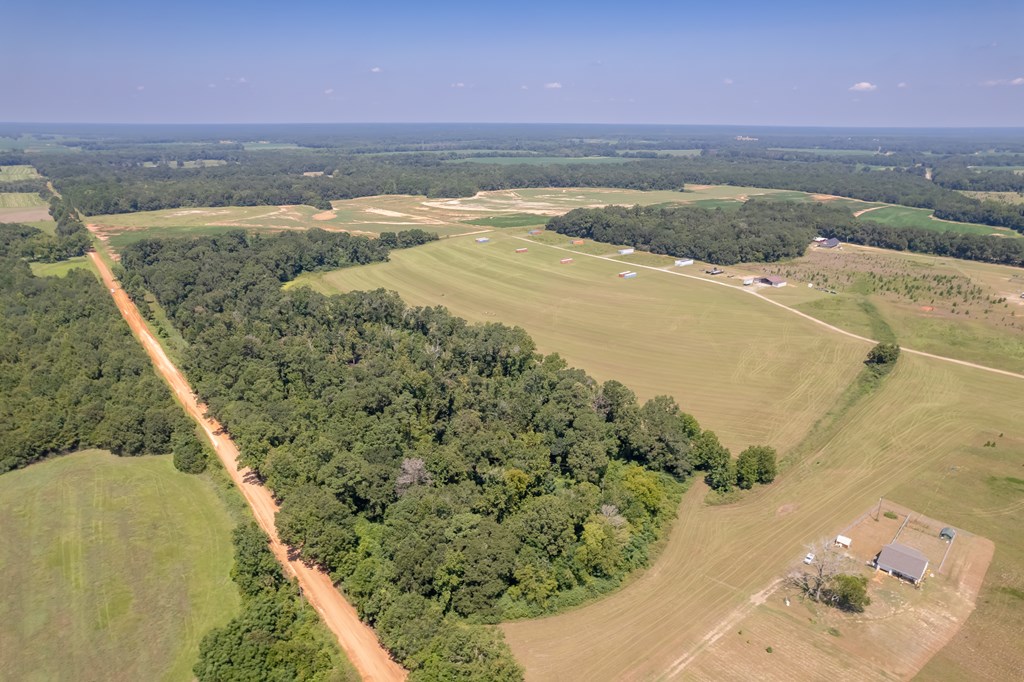 Ame Lot 2, Slocomb, Alabama image 11