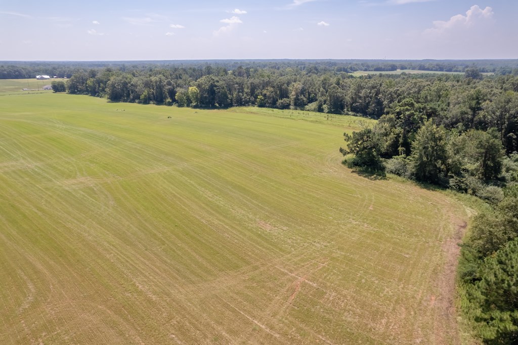 Ame Lot 2, Slocomb, Alabama image 8