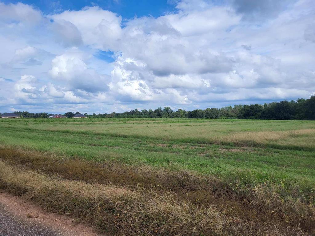 Lot 2 Enterprise Church Rd, Ashford, Alabama image 8