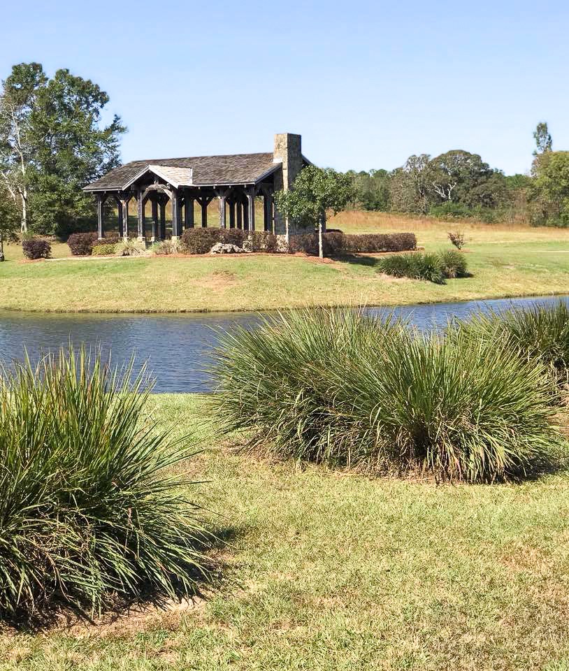 Lot 24 Block A Eagles View, Headland, Alabama image 8