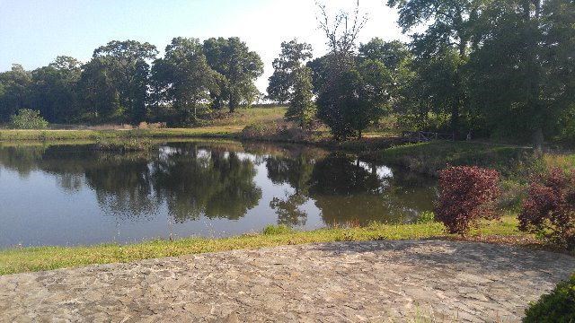 Lot 24 Block A Eagles View, Headland, Alabama image 3