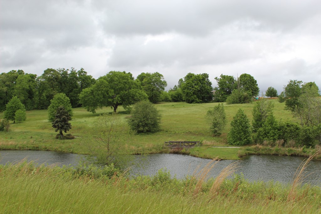 Lot 24 Block A Eagles View, Headland, Alabama image 17