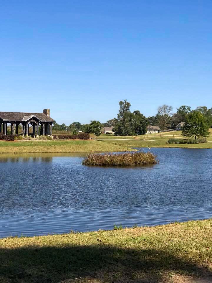 Lot 24 Block A Eagles View, Headland, Alabama image 10