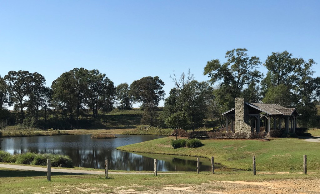 Lot 24 Block A Eagles View, Headland, Alabama image 15