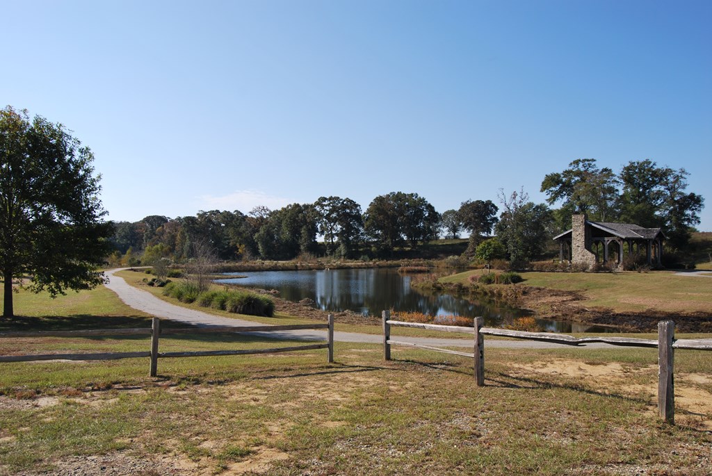 Lot 24 Block A Eagles View, Headland, Alabama image 6