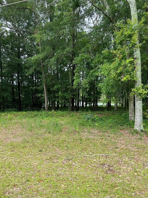 Vacant Land For Sale - 0.77 AC Private Road 1601<br/> Chancellor, AL 36316