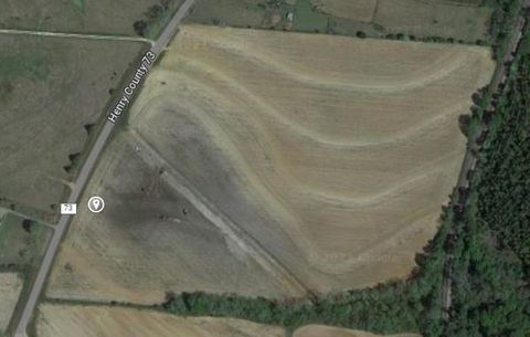 Vacant Land For Sale - County Road 73<br/> Newville, AL 36353