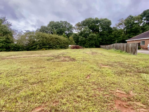 Vacant Land For Sale - Rosa<br/> Dale County, Midland City, AL 36350