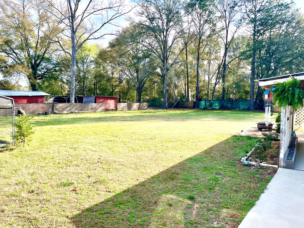 206 W Robin Ave, Geneva, Alabama image 18