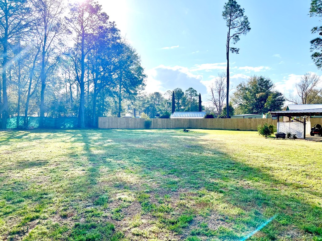 206 W Robin Ave, Geneva, Alabama image 20
