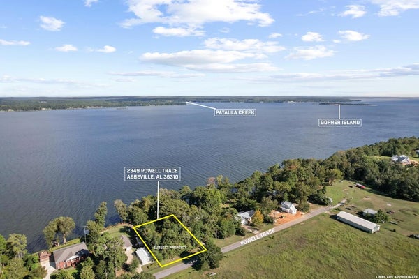 2349 POWELL TRL, ABBEVILLE, AL 36310 - Image 0b0e265c42e191da1a527060a8e63f48/1709610499