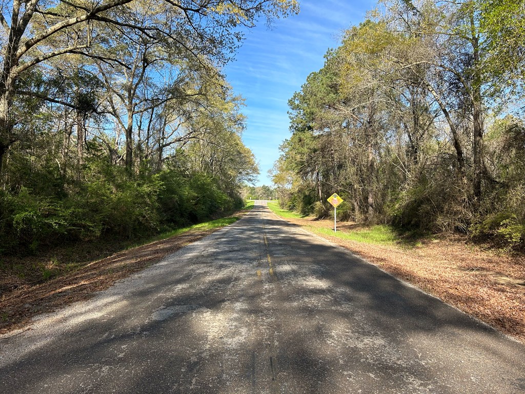 3+-ac (Lot 4) Cty Rd 18, Headland, Alabama image 8