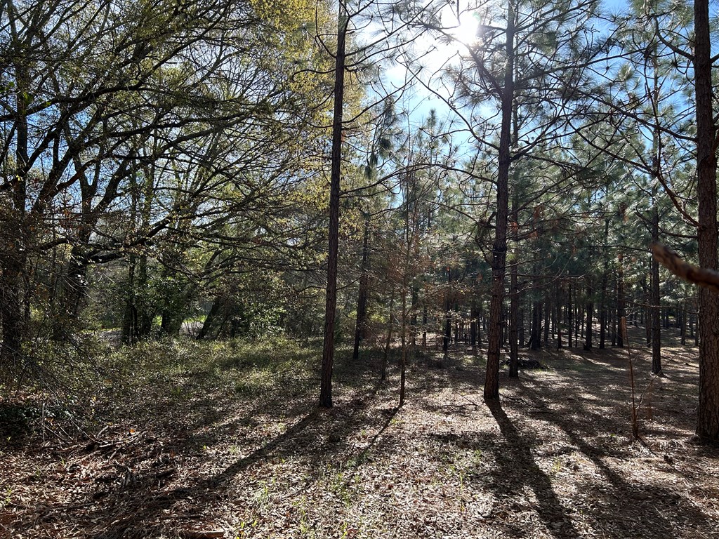 3+-ac (Lot 4) Cty Rd 18, Headland, Alabama image 5