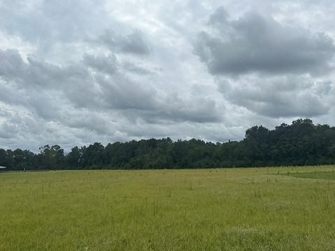 Vacant Land For Sale - LOT 1 Hadden Road<br/> Dothan, AL 36301