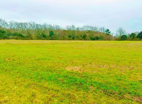 Vacant Land For Sale - Co Rd 49<br/> Slocomb, AL 36375