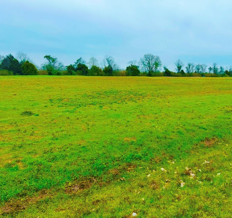 Co Rd 49, Slocomb, Alabama image 2