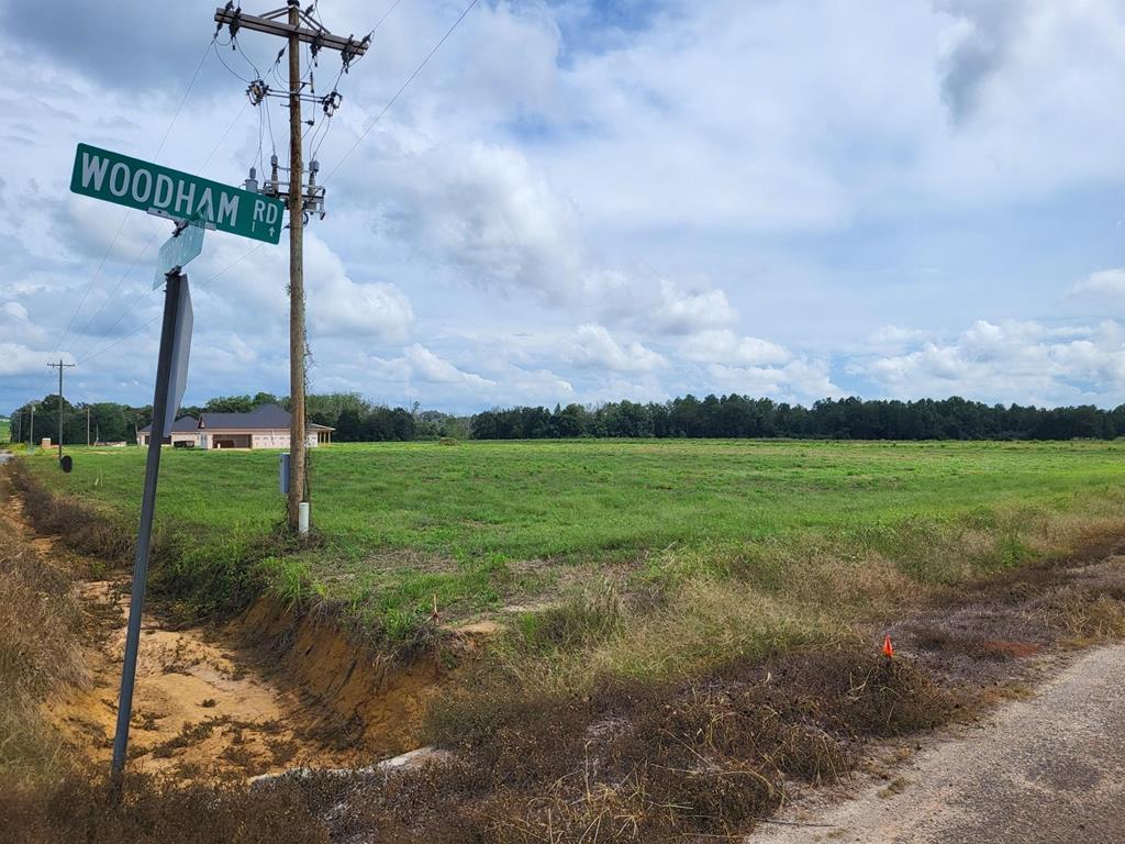 Lot 14 Woodham Rd, Ashford, Alabama image 3