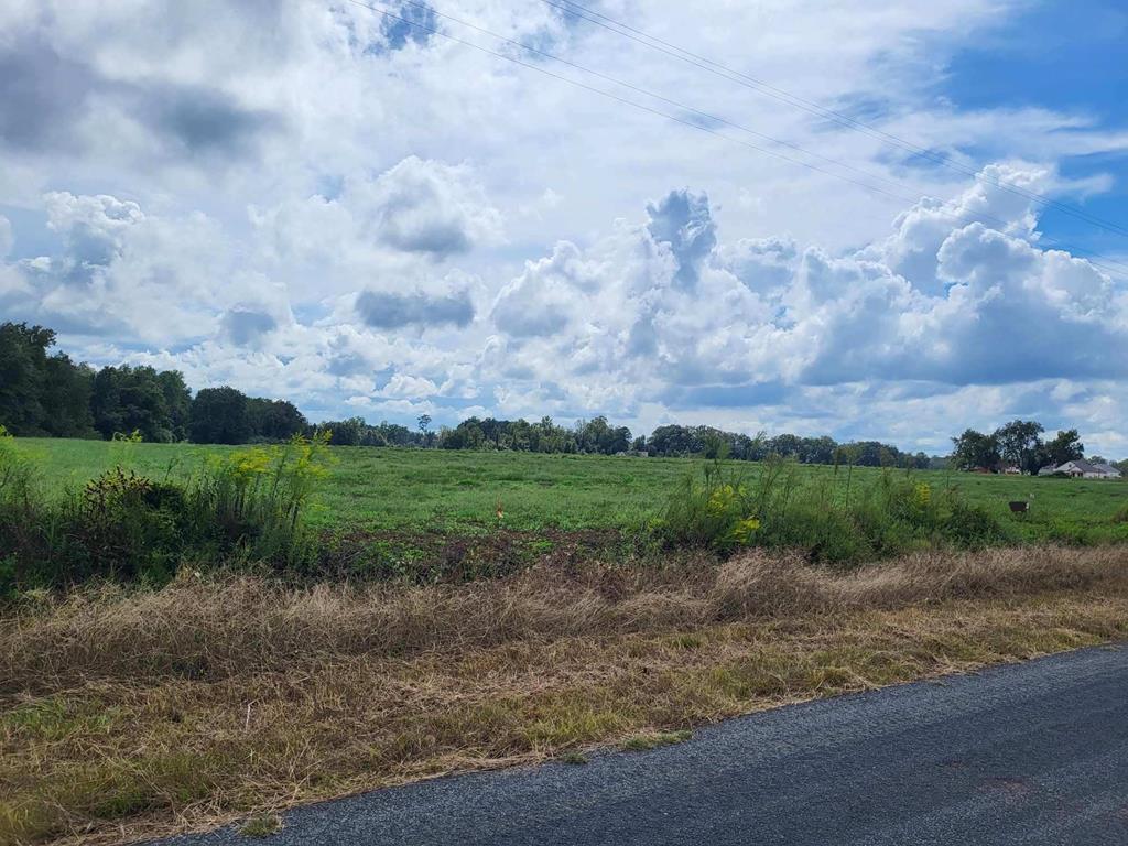 Lot 14 Woodham Rd, Ashford, Alabama image 4