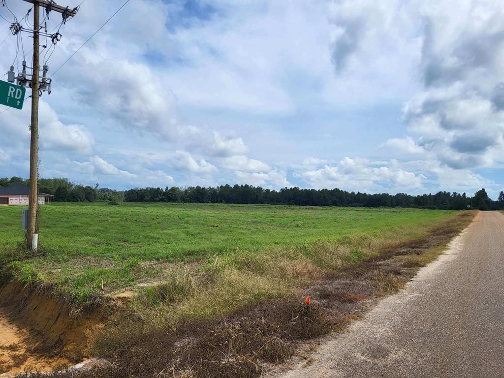 Lot 14 Woodham Rd, Ashford, Alabama image 6