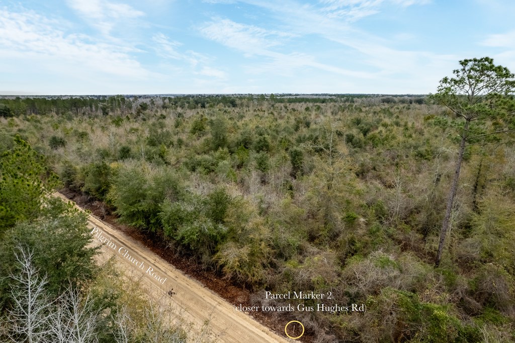 2 Pilgrim Church Road, Gordon, Alabama image 9