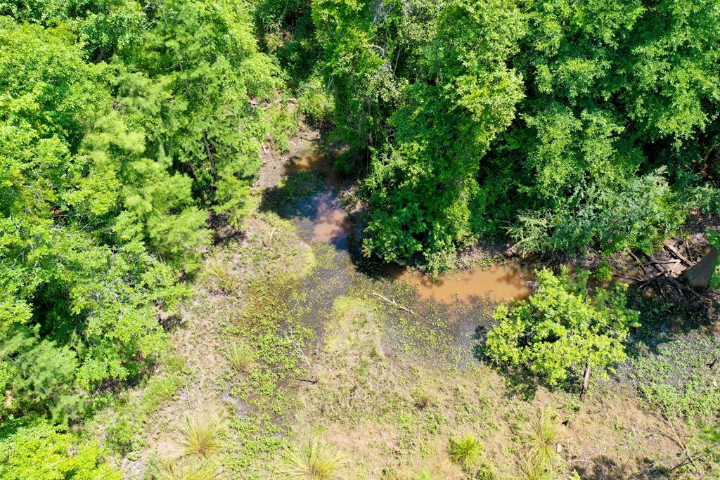 000 S Watford Road, Slocomb, Alabama image 8