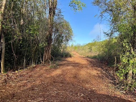 Vacant Land For Sale - 5.47 ACRES N County Road 61<br/> Geneva County, Hartford, AL 36344