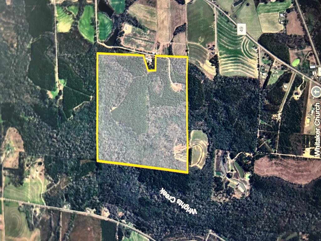 923 Lakeview Rd, Slocomb, Alabama image 7