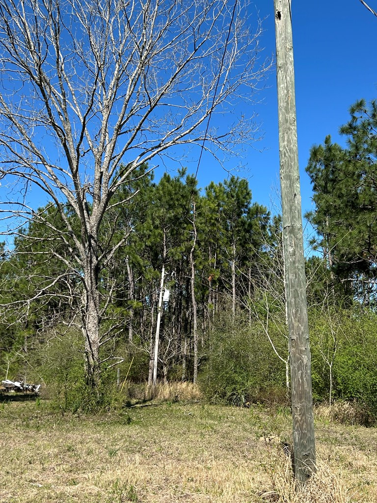 923 Lakeview Rd, Slocomb, Alabama image 19