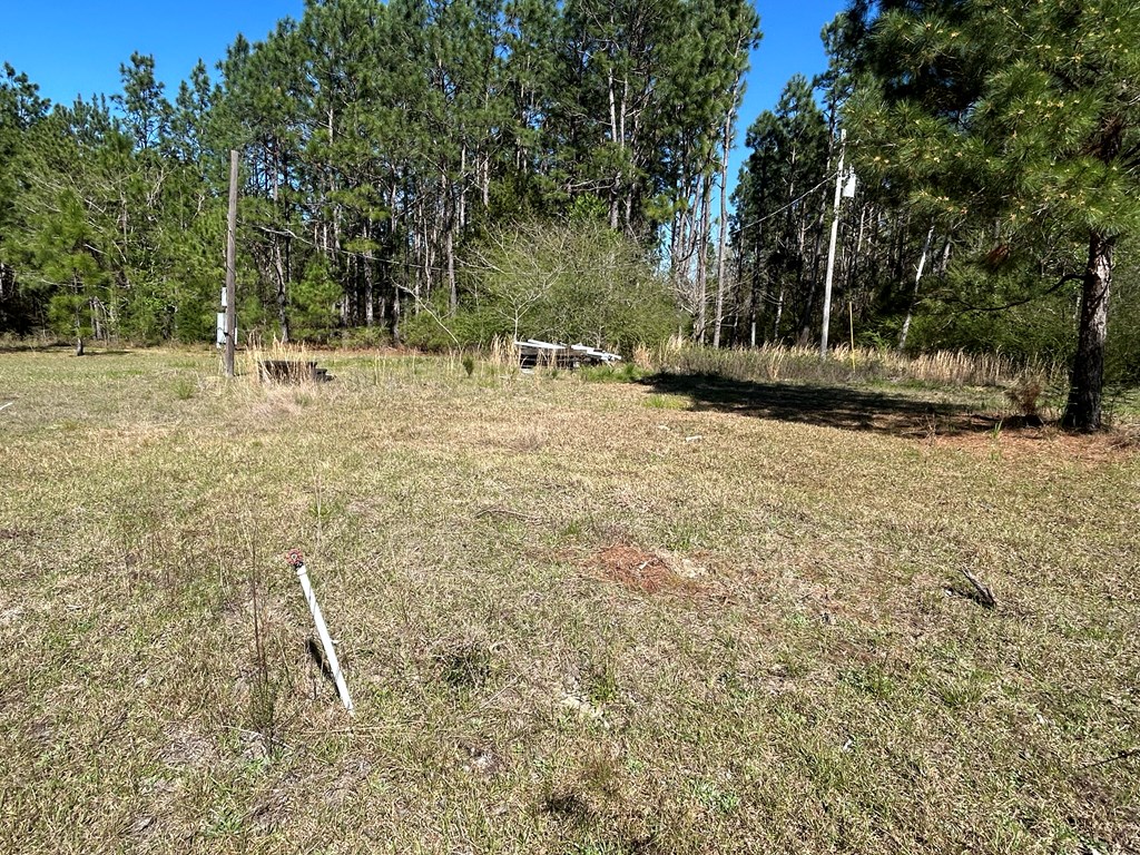 923 Lakeview Rd, Slocomb, Alabama image 17
